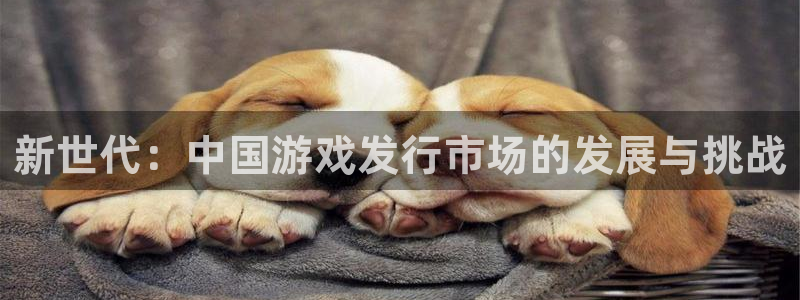 杏运娱乐注册流程：新世代：中国游戏发行市场的发展与挑战