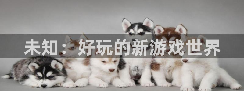 杏运娱乐注册账号入口在哪里：未知：好玩的新游戏世界