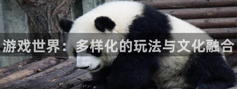 杏运体育app下载安装：游戏世界：多样化的玩法与文化融合
