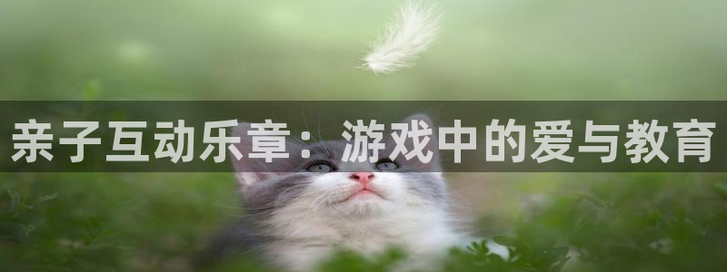 杏运体育官方网址