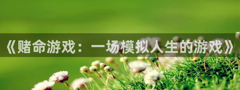 杏运娱乐