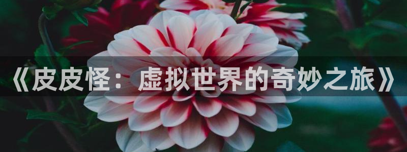 杏运杏运注册：《皮皮怪：虚拟世界的奇妙之旅》