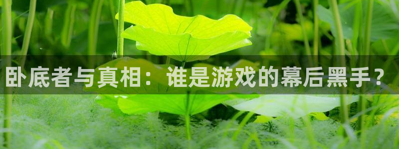 杏运娱乐怎么样：卧底者与真相：谁是游戏的幕后黑手？