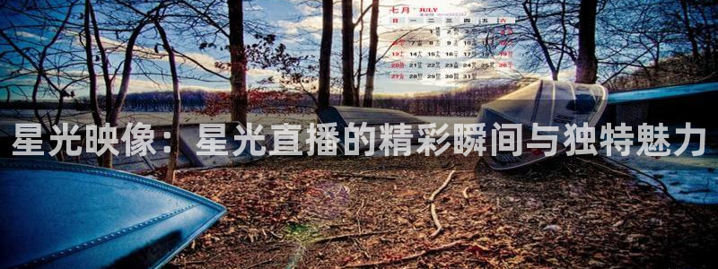 鲸鱼体育在线直播高清：星光映像：星光直播的精彩瞬间与独特魅力
