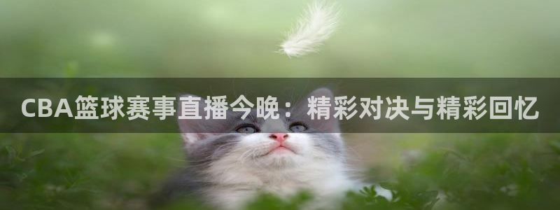 jytv鲸鱼体育：CBA篮球赛事直播今晚：精彩对决与精彩回忆