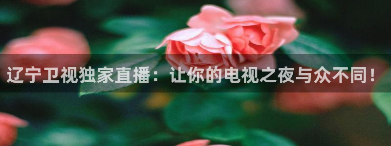 鲸鱼免费体育直播：辽宁卫视独家直播：让你的电视之夜与众不同！