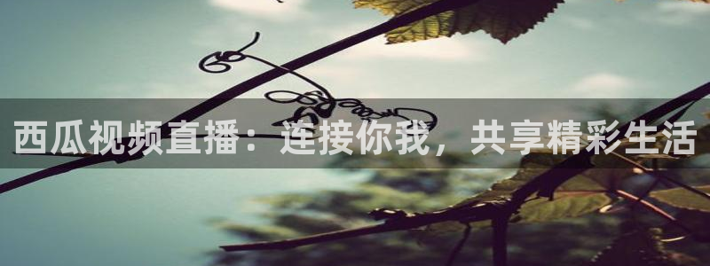 鲸鱼体育app免费下载：西瓜视频直播：连接你我，共享精彩生活